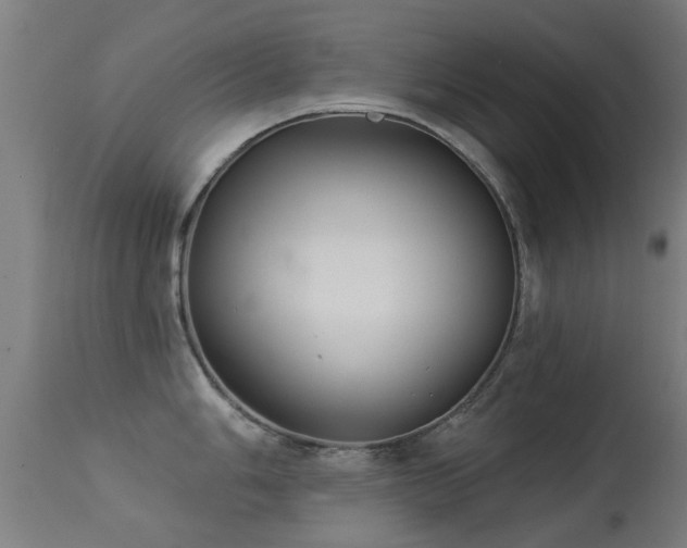 X0000113281006200909211035