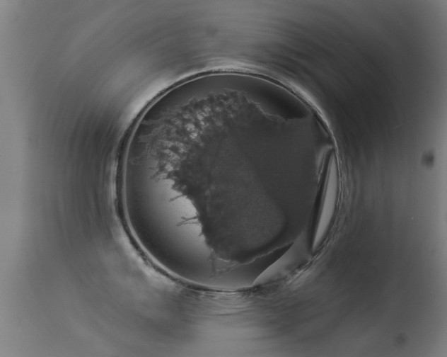 X0000113281007200909211035