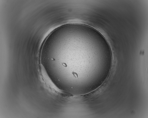 X0000113281008200909211035