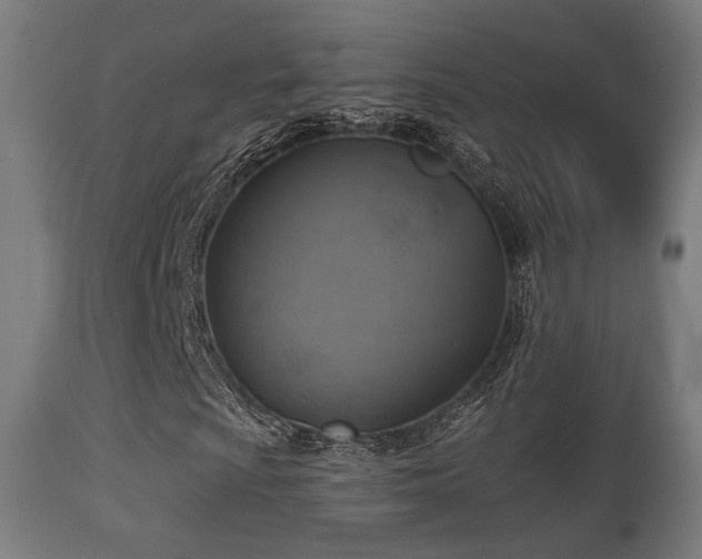 X0000113281009200909211034