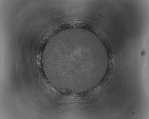 X0000113281010200909211034