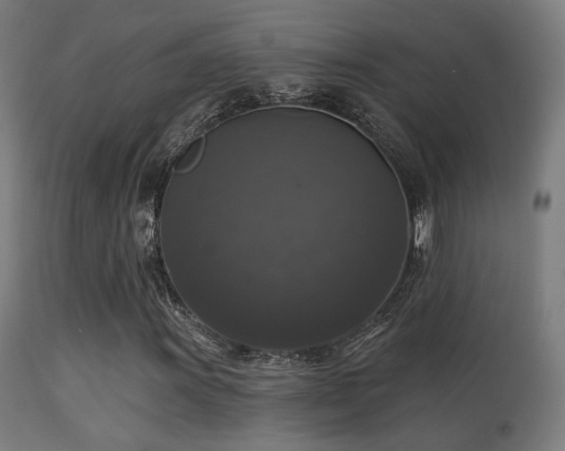 X0000113281011200909211034