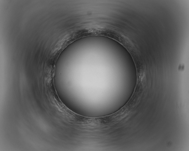 X0000113281012200909211034