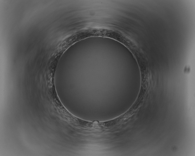 X0000113281013200909211034