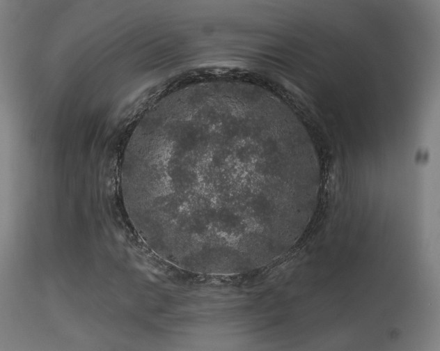 X0000113281014200909211034