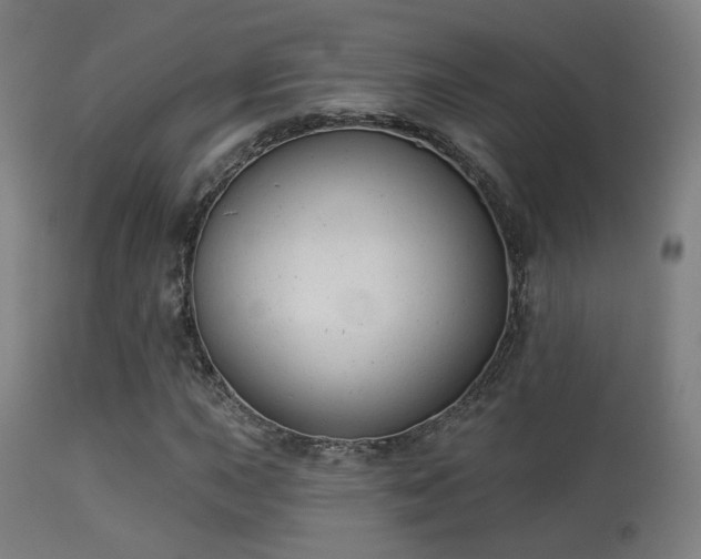 X0000113281015200909211034