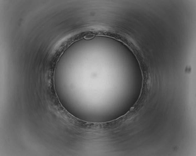 X0000113281016200909211034