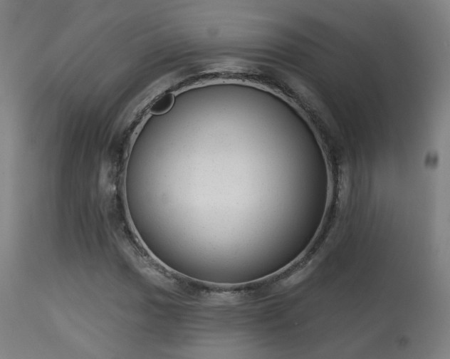 X0000113281017200909211034