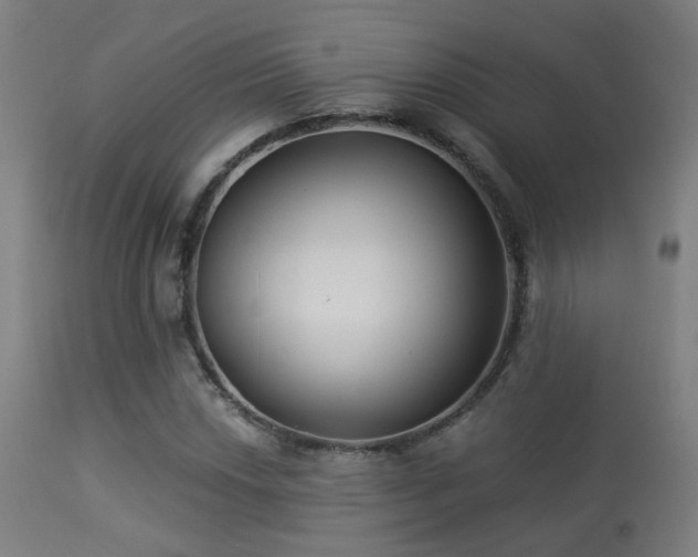 X0000113281018200909211034