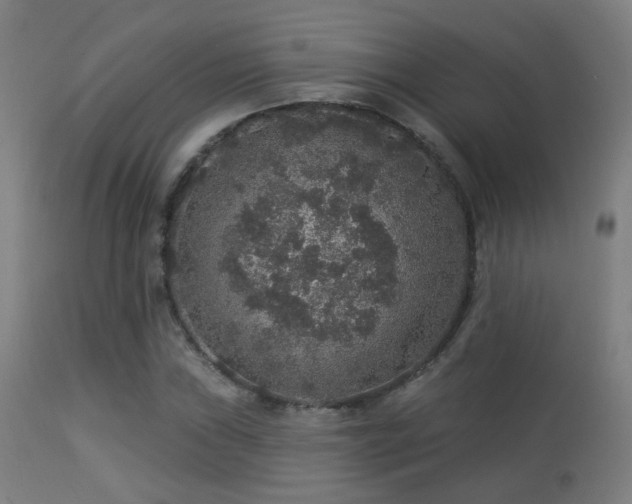 X0000113281019200909211034