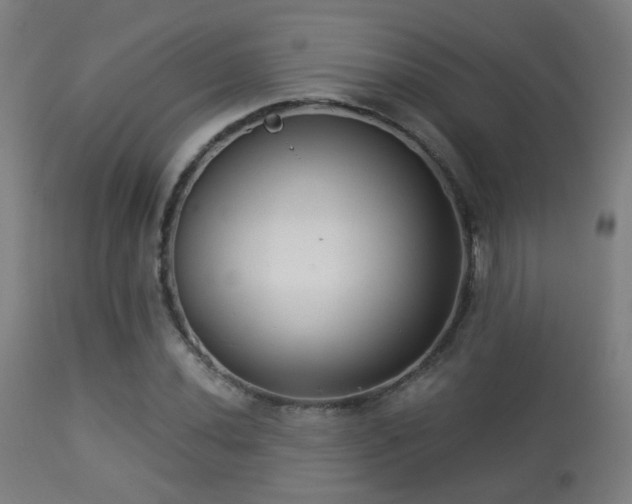 X0000113281020200909211034