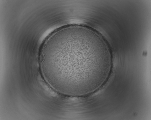 X0000113281022200909211034