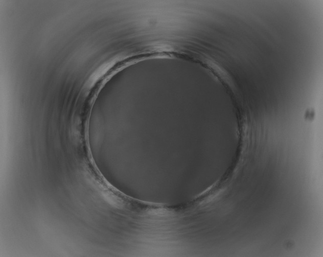 X0000113281023200909211034