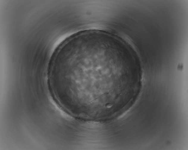 X0000113281024200909211034