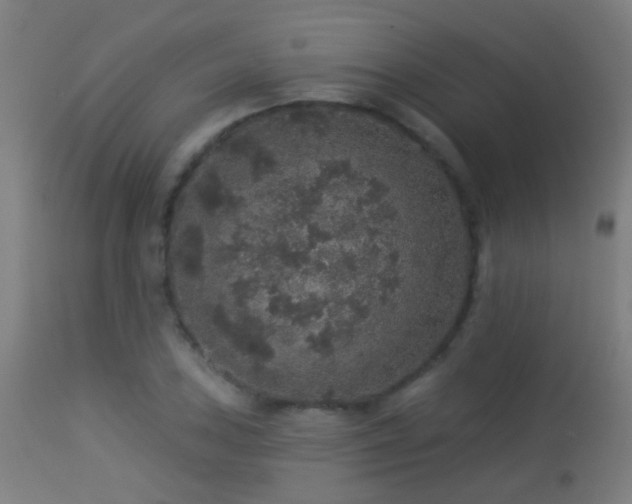 X0000113281027200909211034