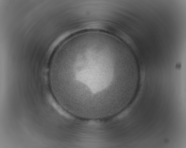 X0000113281029200909211034