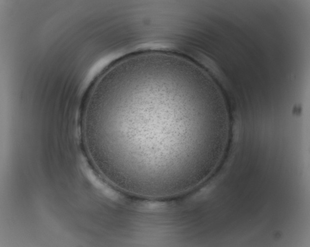 X0000113281030200909211034