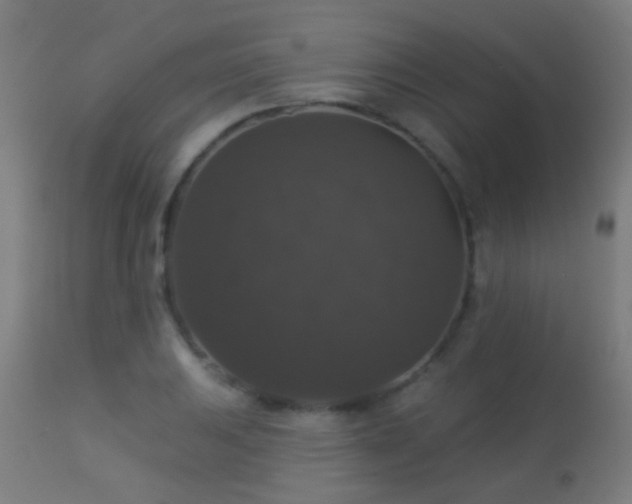 X0000113281031200909211034