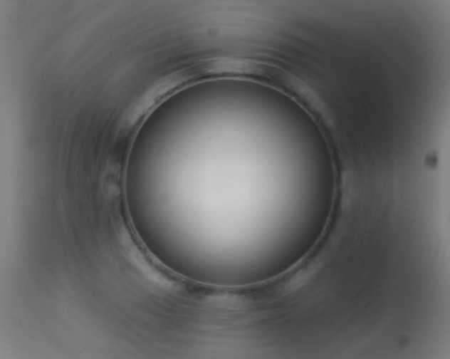 X0000113281033200909211034