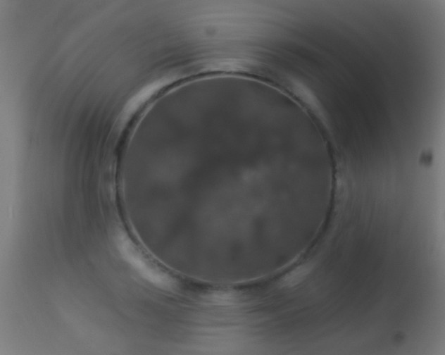 X0000113281035200909211035