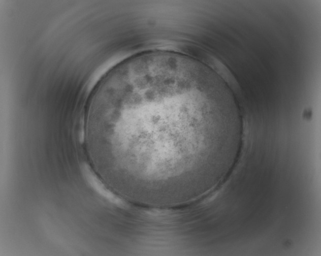 X0000113281036200909211035