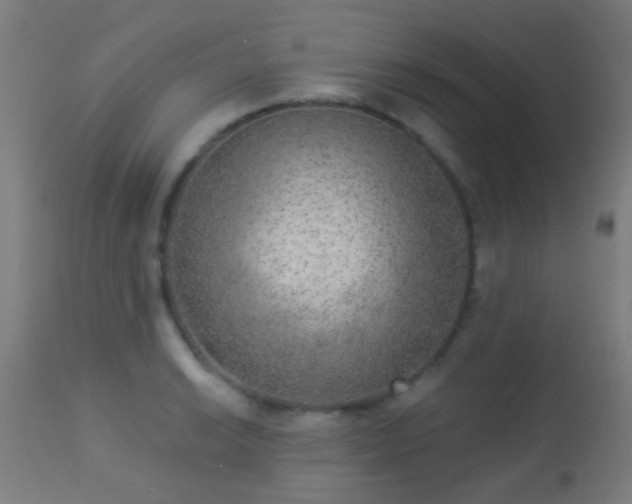 X0000113281038200909211035