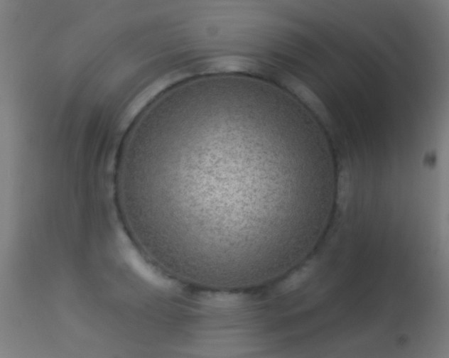 X0000113281039200909211035