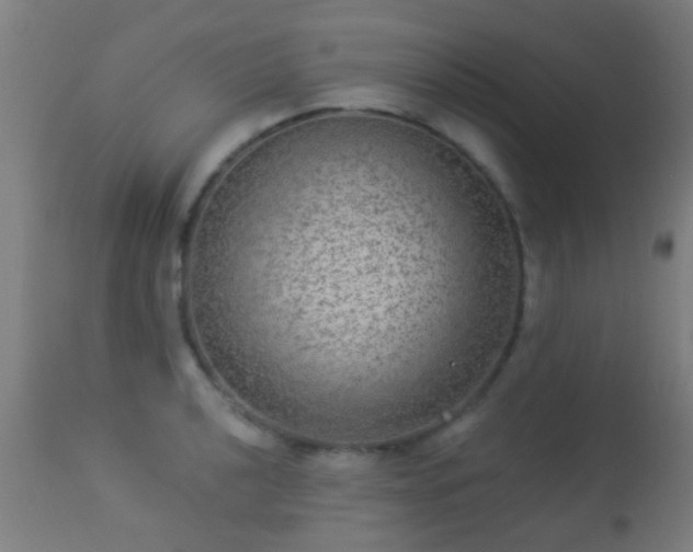 X0000113281040200909211035