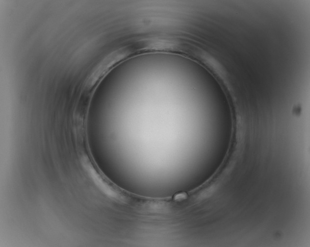 X0000113281041200909211035