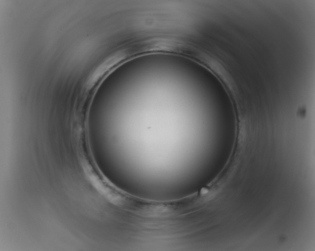 X0000113281042200909211035