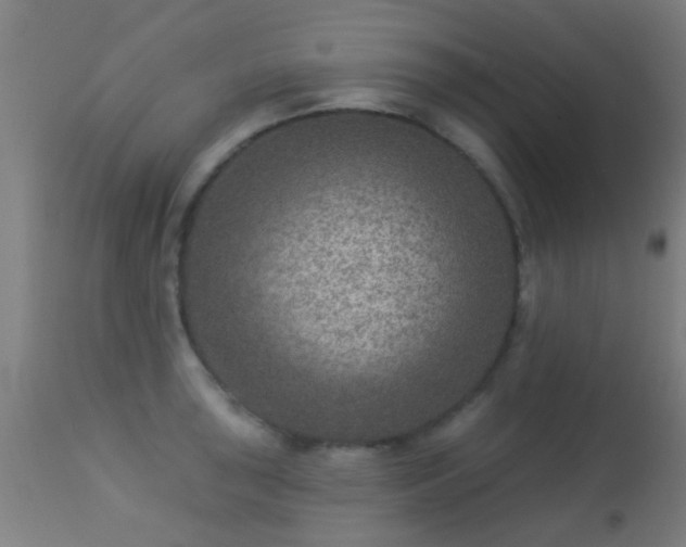 X0000113281043200909211035