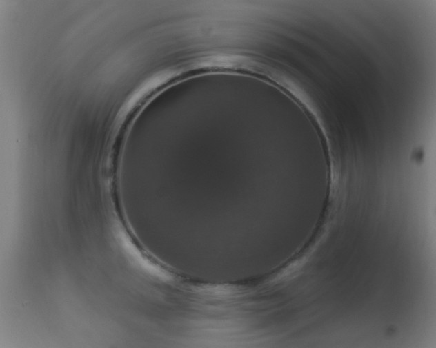 X0000113281045200909211035