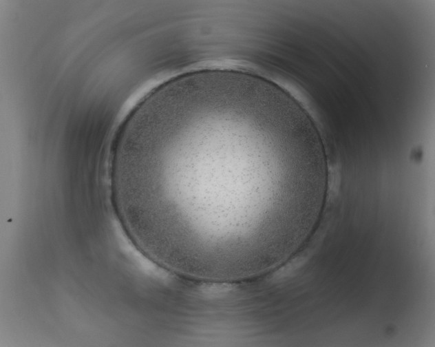 X0000113281046200909211035