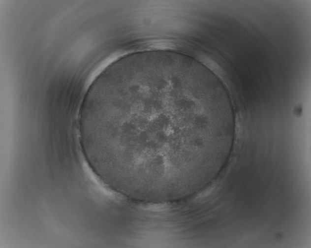 X0000113281047200909211035