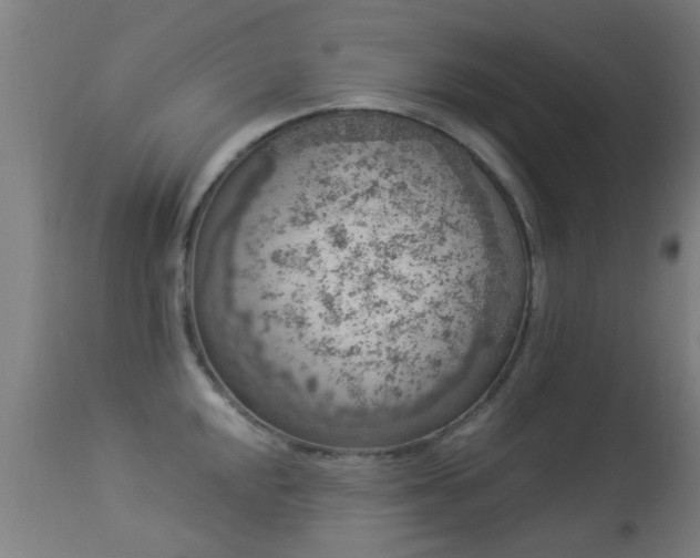 X0000113281048200909211035