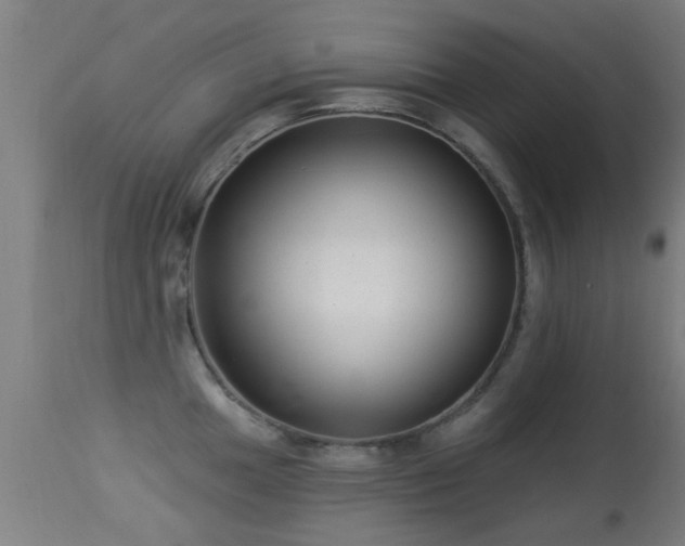 X0000113281049200909211035