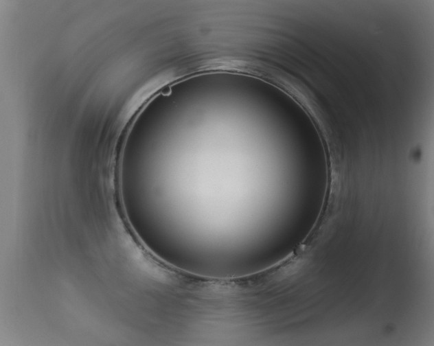 X0000113281050200909211035