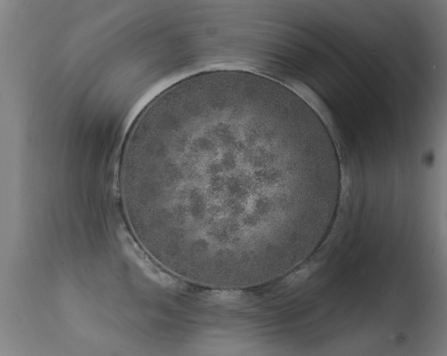 X0000113281052200909211035