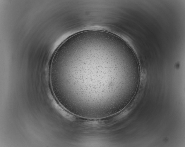 X0000113281054200909211035