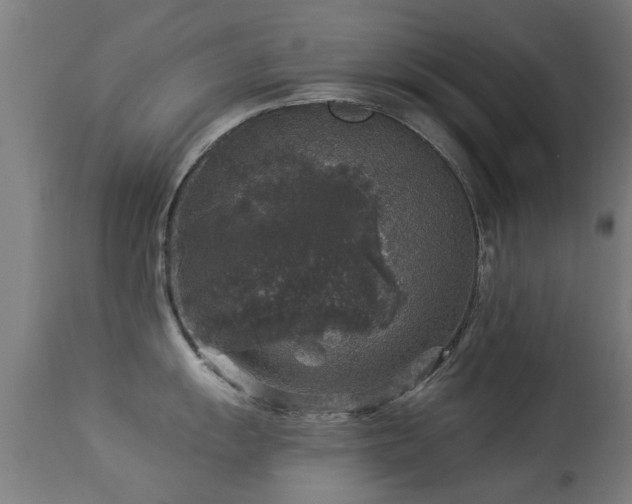 X0000113281055200909211035