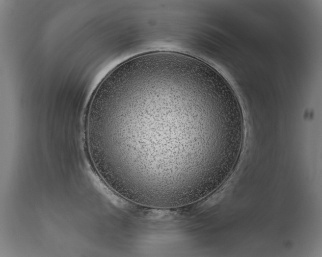 X0000113281056200909211035