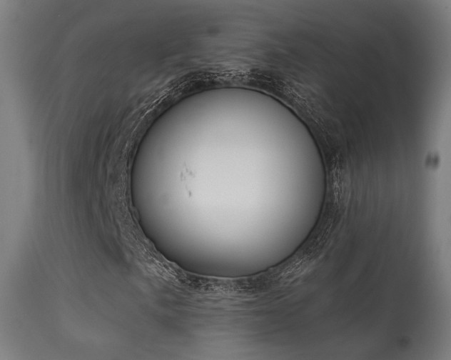 X0000113281057200909211034