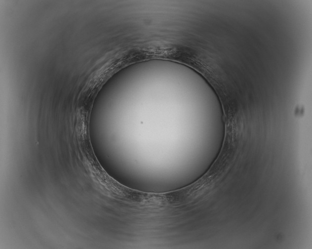 X0000113281058200909211034