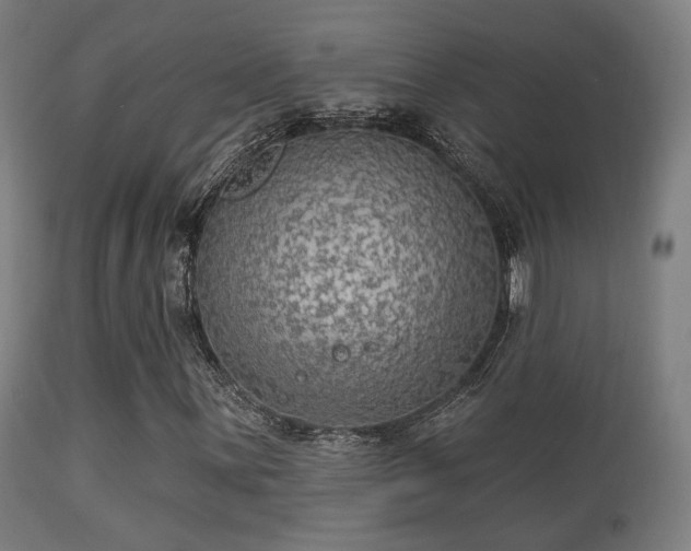 X0000113281059200909211034