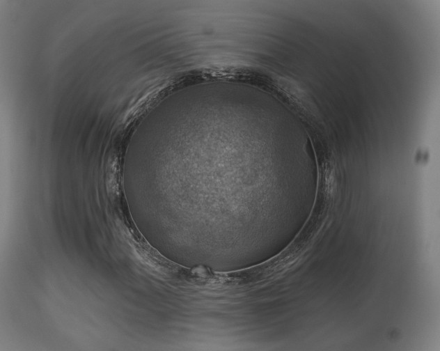 X0000113281060200909211034