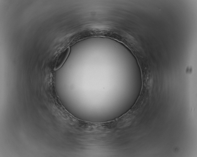 X0000113281061200909211034