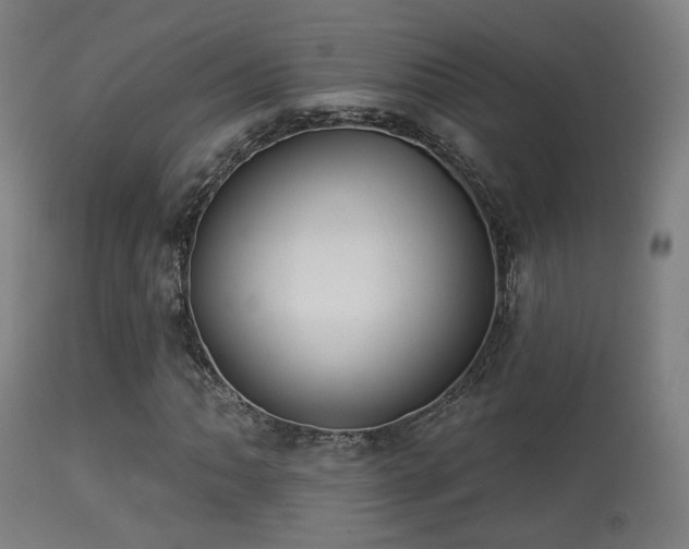 X0000113281062200909211034