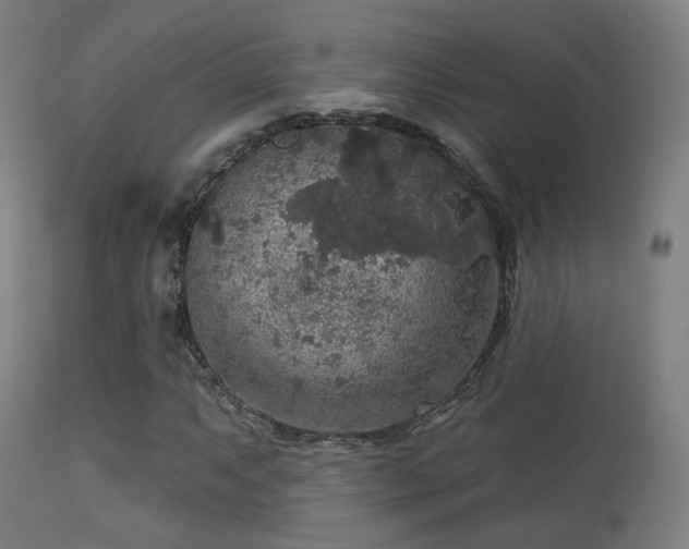 X0000113281063200909211034