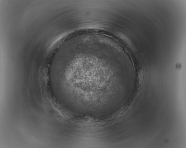 X0000113281064200909211034