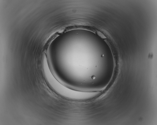 X0000113281065200909211034